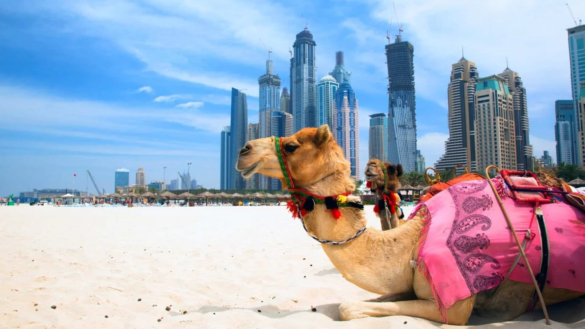 Ortadoğu & Dubai Turları