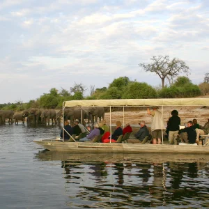 chobe national park Botswana