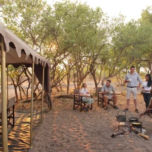 chobe national parkı Lodge Botswana