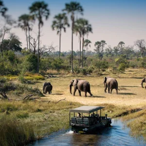 chobe national park - Botswana