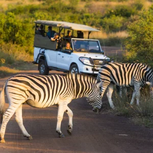 Pilanesberg Milli Parkı Safari