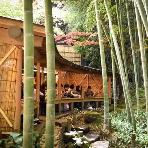 Hokokuji tapınağı Kamakura - Japonya