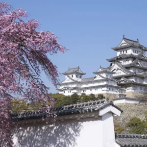 Hyogo Himeji kalesi 