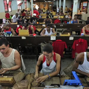 Havana Puro yapımı