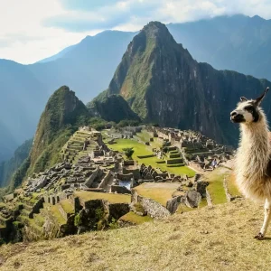 Machu Picchu - Peru