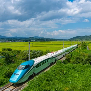 Shinkansen Hızlı Treni - Japonya