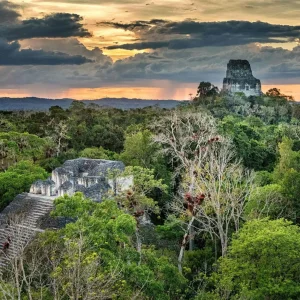 Antik Maya şehri Tikal - Guatemala