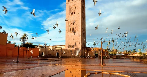 Fas Kraliyet Şehirleri Turu 4 Gece - Air Arabia Hava Yolları (Akşam Yemekleri Dahil )