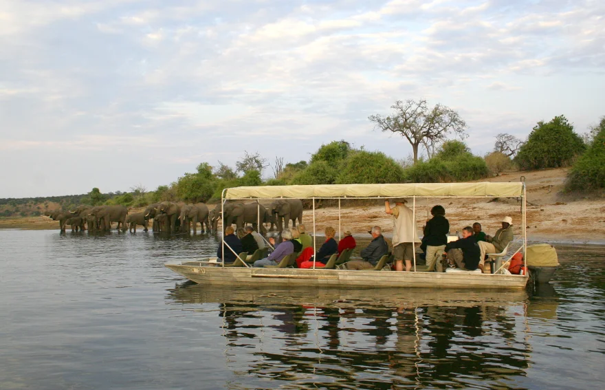 chobe national park Botswana