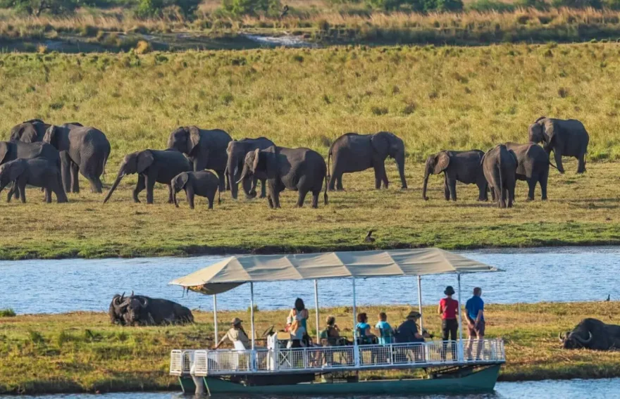 chobe national park - Botswana