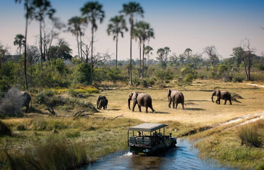 chobe national park - Botswana