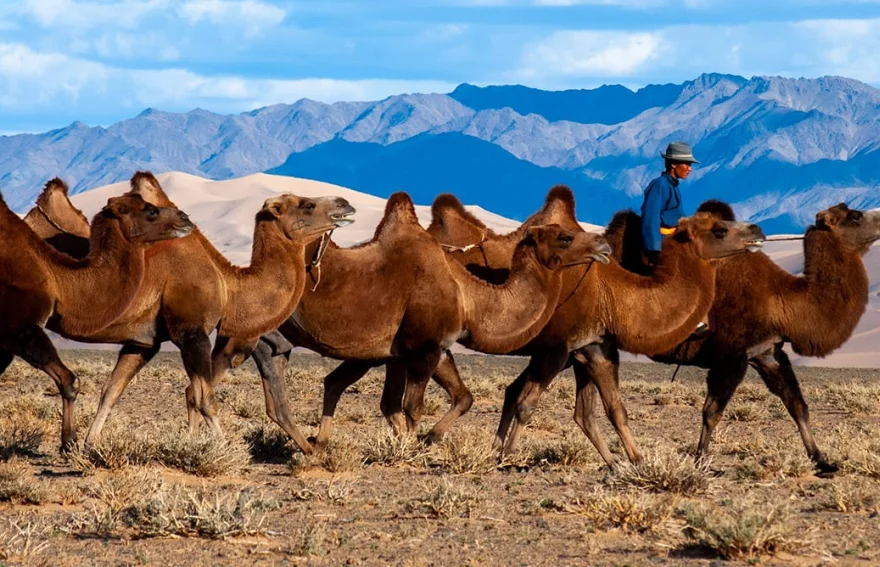 Moğolistan Turu  Gobi Çölü 