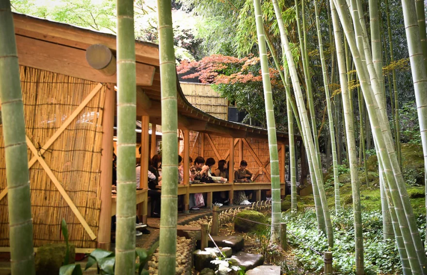 Hokokuji tapınağı Kamakura - Japonya