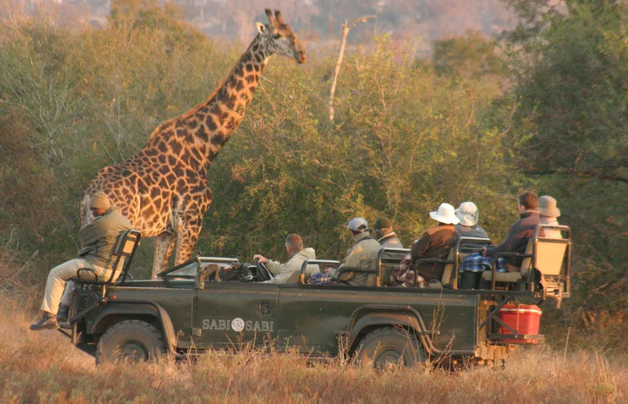 Güney Afrika Safari Plinasberg