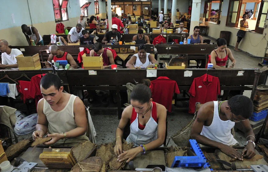 Havana Puro yapımı