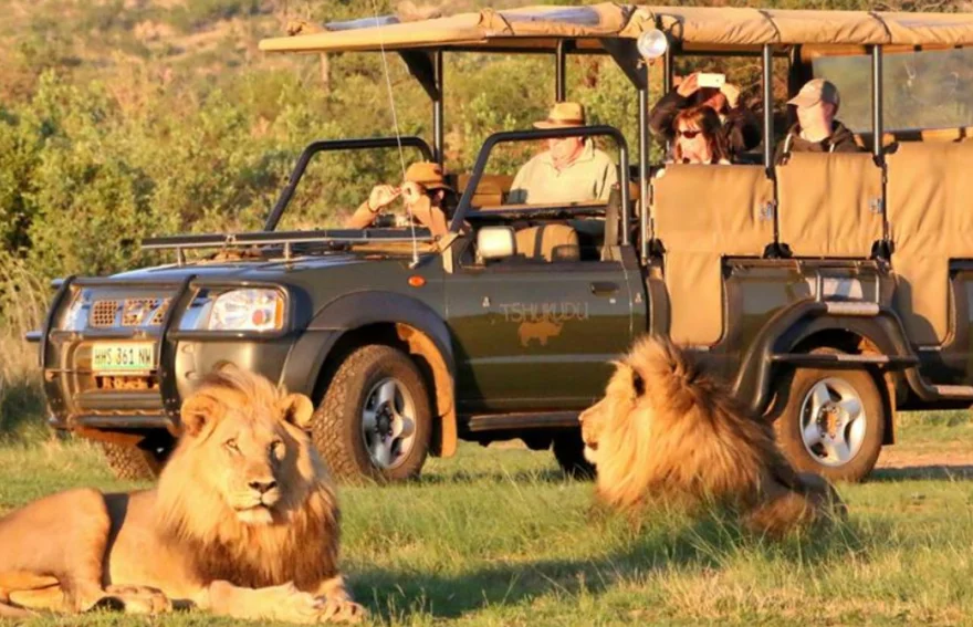Güney Afrika Safari Plinasberg