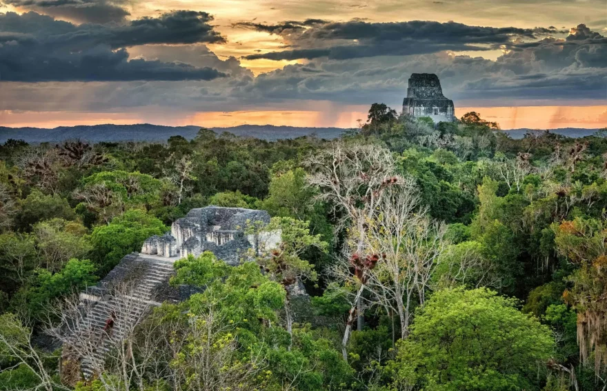 Antik Maya şehri Tikal - Guatemala